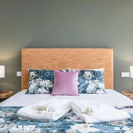 Casas Bouro 1 Casa Hortencias