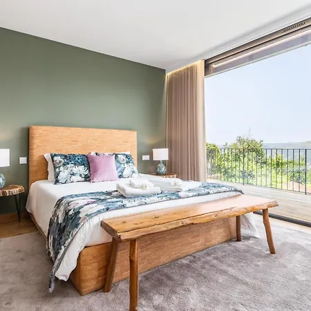 Casas Bouro 1 Casa Hortencias * 테라스 드 부로