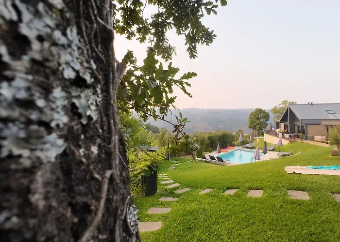 Casas Bouro 1 Casa Hortencias