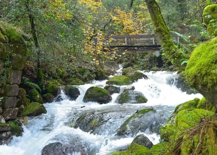 Casas Bouro 1 Casa Hortencias