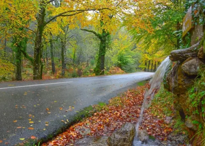 Casas Bouro 1 Casa Hortencias Chalet *