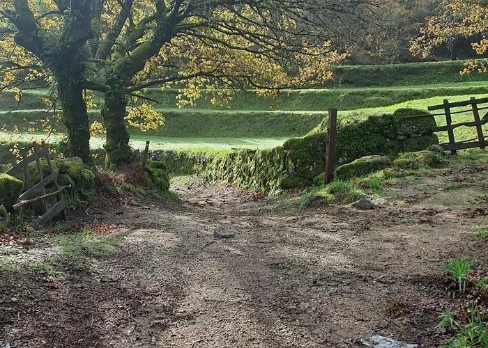 Casas Bouro 1 Casa Hortencias * 特拉什杜博鲁